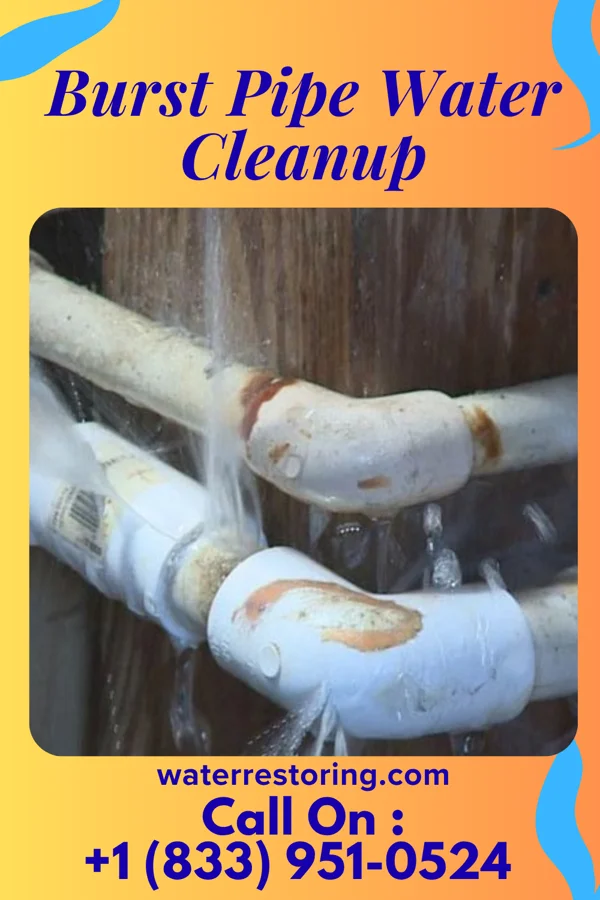 Burst Pipe Water Cleanup in Stonerstown, PA