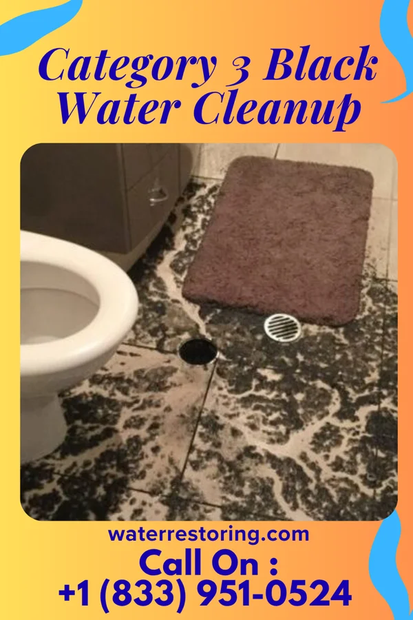 Category 3 Black Water Cleanup in Stonerstown, PA