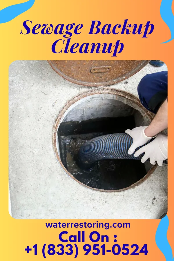 Sewage Backup Cleanup in Stonerstown, PA
