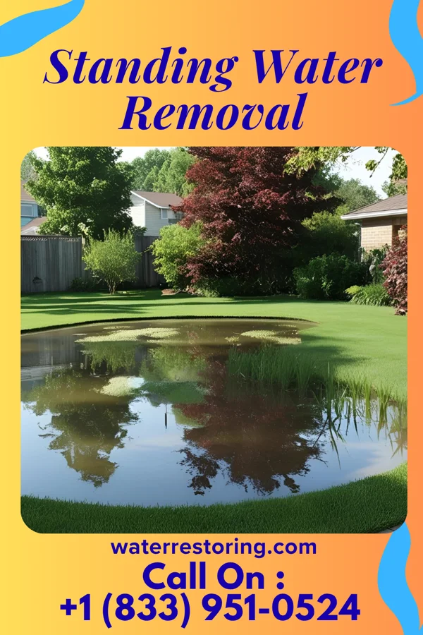 Standing Water Removal in Stonerstown, PA